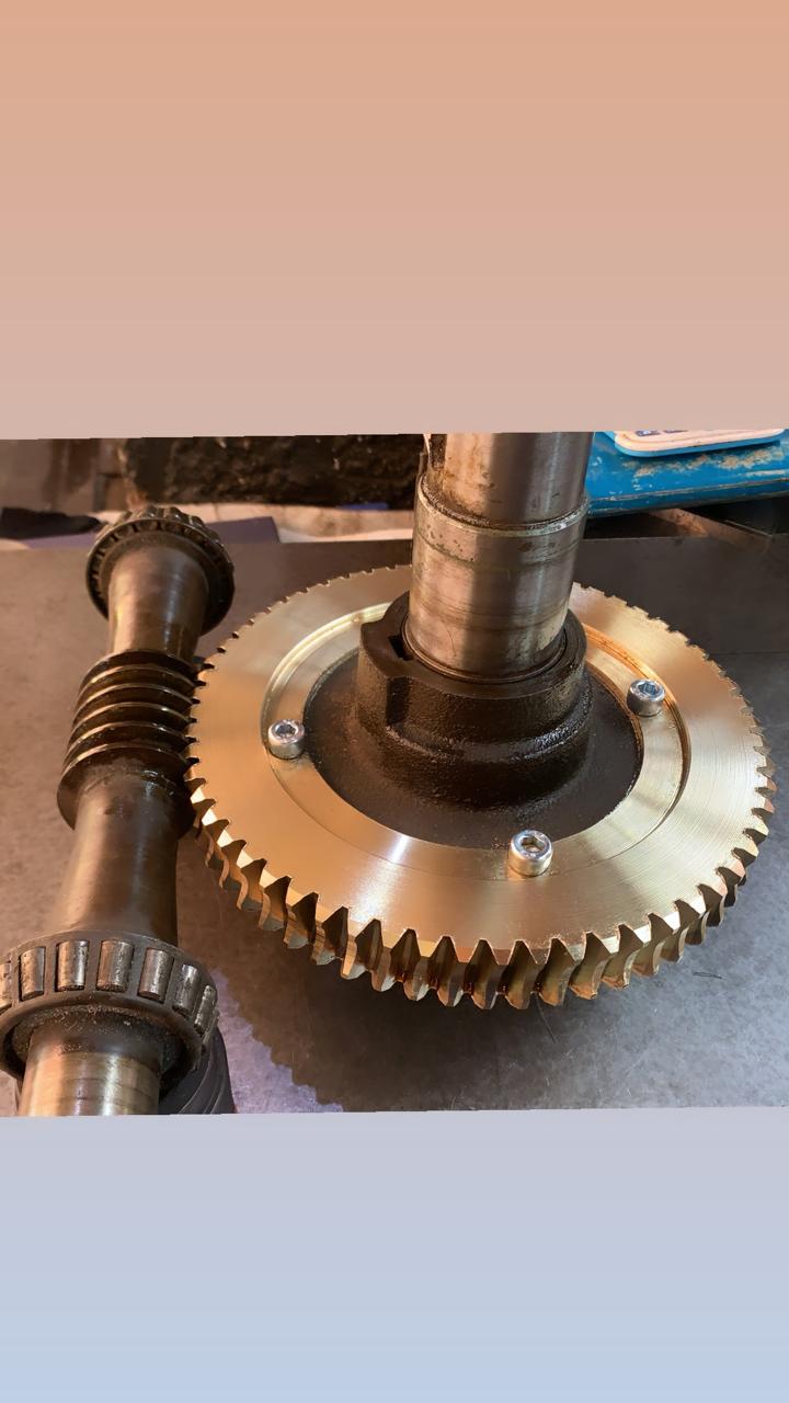 Bronze Worm Gears